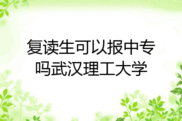 复读生可以报中专吗武汉理工大学