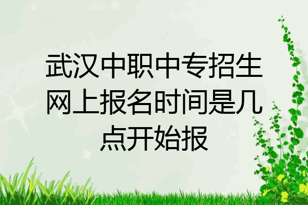 武汉中职中专招生网上报名时间是几点开始报