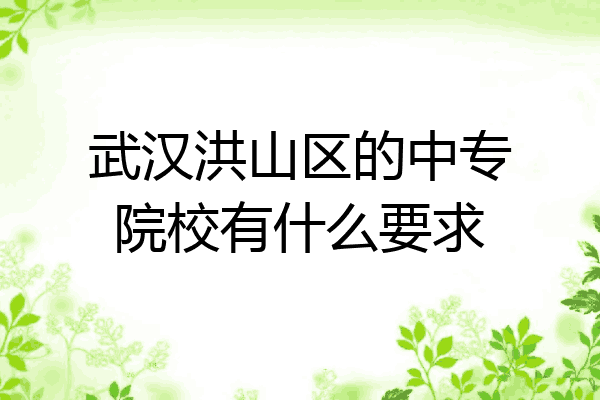 武汉洪山区的中专院校有什么要求