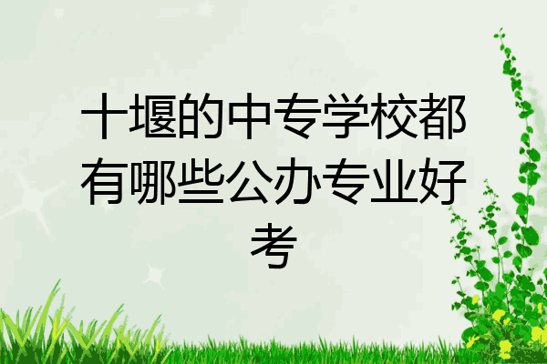 十堰的中专学校都有哪些公办专业好考