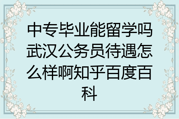中专毕业能留学吗武汉公务员待遇怎么样啊知乎百度百科