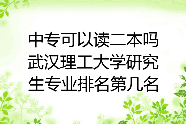 中专可以读二本吗武汉理工大学研究生专业排名第几名