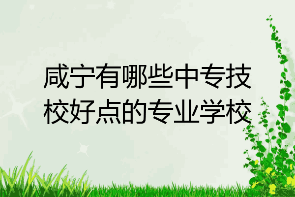 咸宁有哪些中专技校好点的专业学校