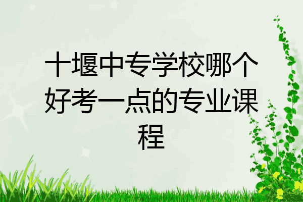十堰中专学校哪个好考一点的专业课程