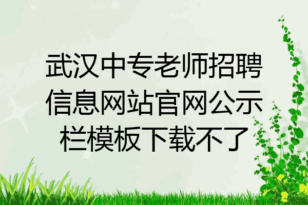 武汉中专老师招聘信息网站官网公示栏模板下载不了