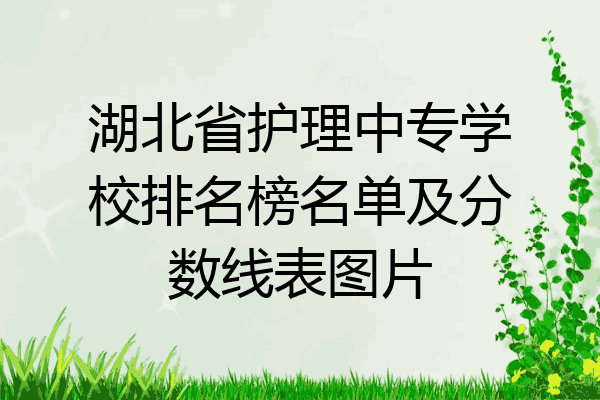 湖北省护理中专学校排名榜名单及分数线表图片