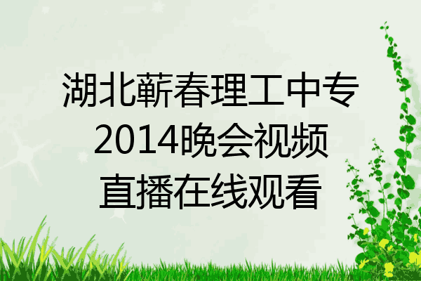 湖北蕲春理工中专2014晚会视频直播在线观看