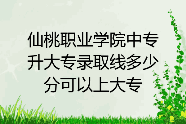 仙桃职业学院中专升大专录取线多少分可以上大专