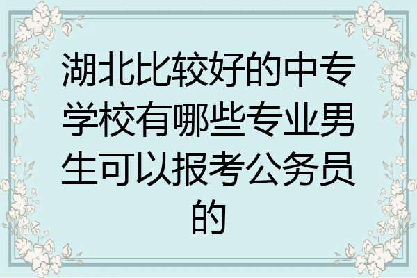 湖北比较好的中专学校有哪些专业男生可以报考公务员的