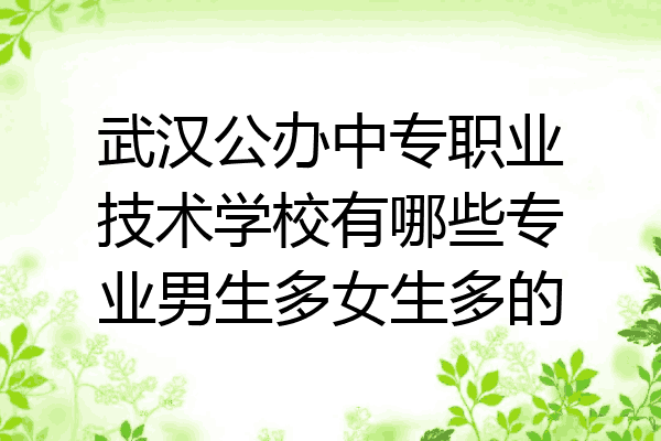 武汉公办中专职业技术学校有哪些专业男生多女生多的