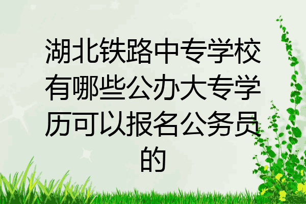湖北铁路中专学校有哪些公办大专学历可以报名公务员的