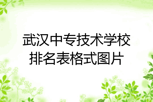 武汉中专技术学校排名表格式图片