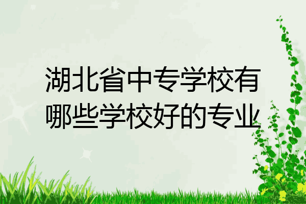 湖北省中专学校有哪些学校好的专业