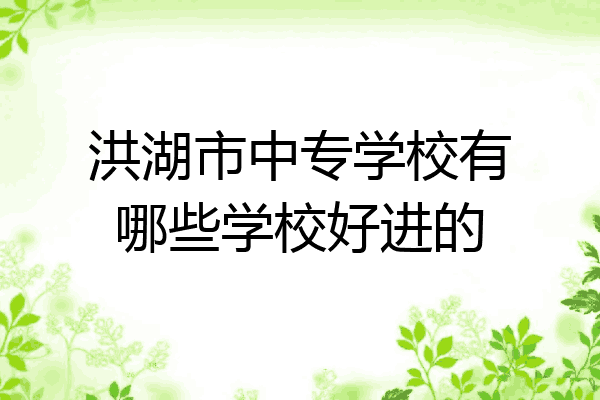 洪湖市中专学校有哪些学校好进的