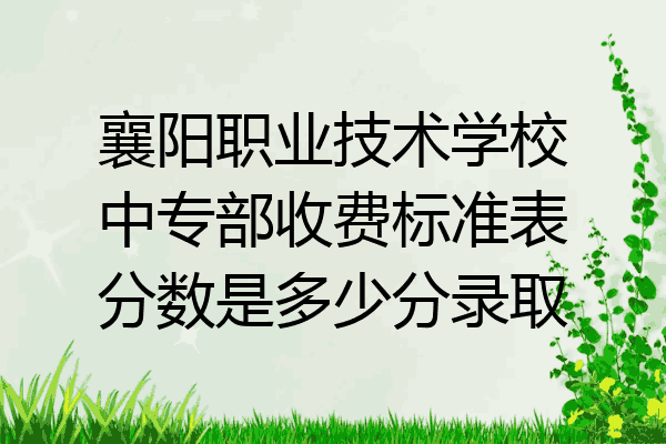 襄阳职业技术学校中专部收费标准表分数是多少分录取