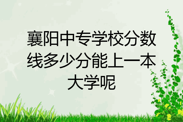 襄阳中专学校分数线多少分能上一本大学呢