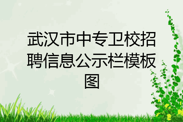 武汉市中专卫校招聘信息公示栏模板图