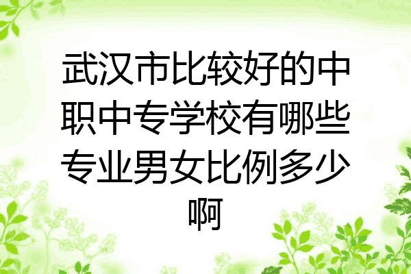 武汉市比较好的中职中专学校有哪些专业男女比例多少啊