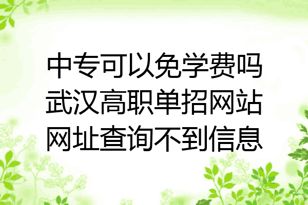 中专可以免学费吗武汉高职单招网站网址查询不到信息