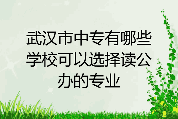 武汉市中专有哪些学校可以选择读公办的专业
