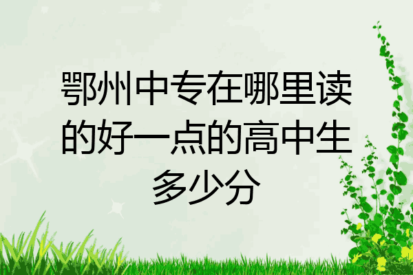 鄂州中专在哪里读的好一点的高中生多少分