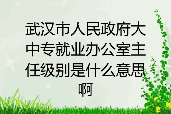 武汉市人民政府大中专就业办公室主任级别是什么意思啊