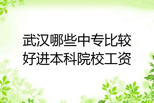 武汉哪些中专比较好进本科院校工资