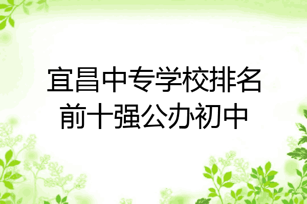 宜昌中专学校排名前十强公办初中