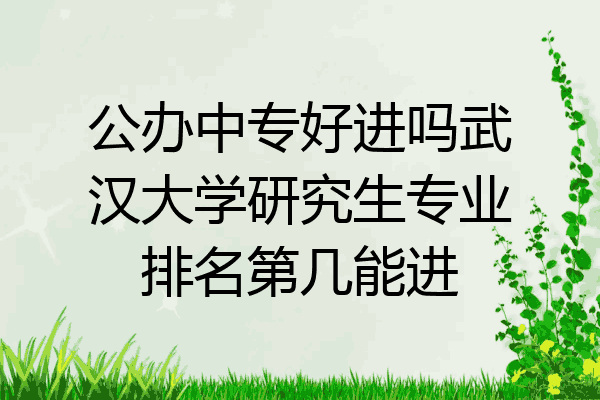 公办中专好进吗武汉大学研究生专业排名第几能进