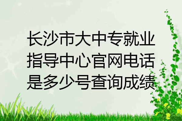 长沙市大中专就业指导中心官网电话是多少号查询成绩