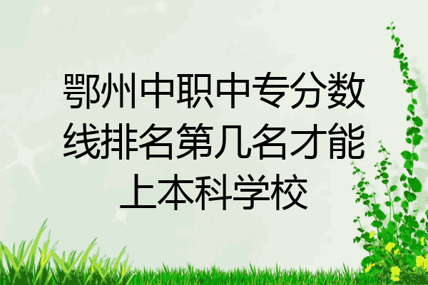 鄂州中职中专分数线排名第几名才能上本科学校