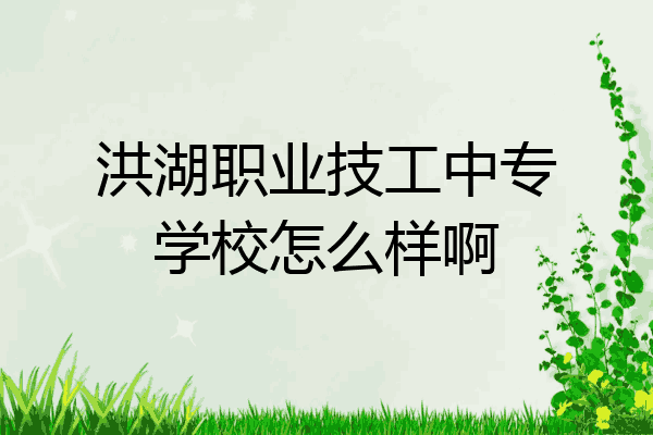洪湖职业技工中专学校怎么样啊