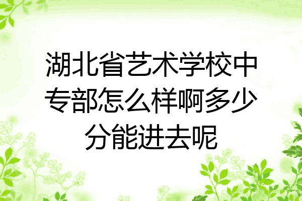 湖北省艺术学校中专部怎么样啊多少分能进去呢