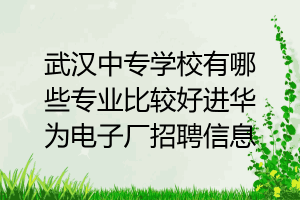 武汉中专学校有哪些专业比较好进华为电子厂招聘信息