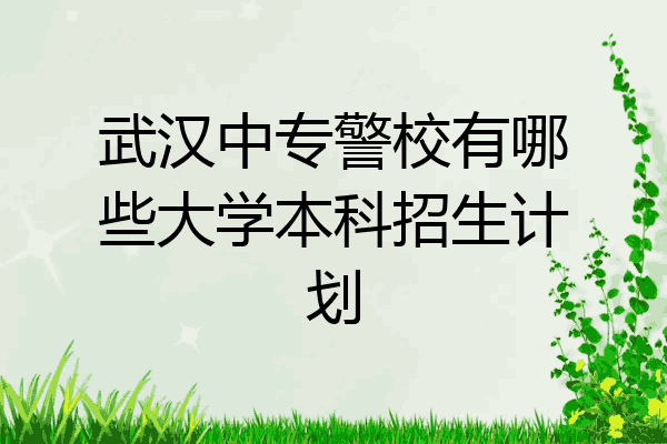 武汉中专警校有哪些大学本科招生计划