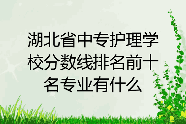 湖北省中专护理学校分数线排名前十名专业有什么
