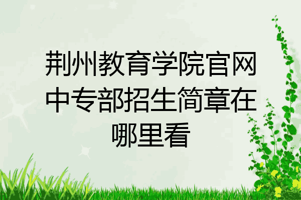 荆州教育学院官网中专部招生简章在哪里看