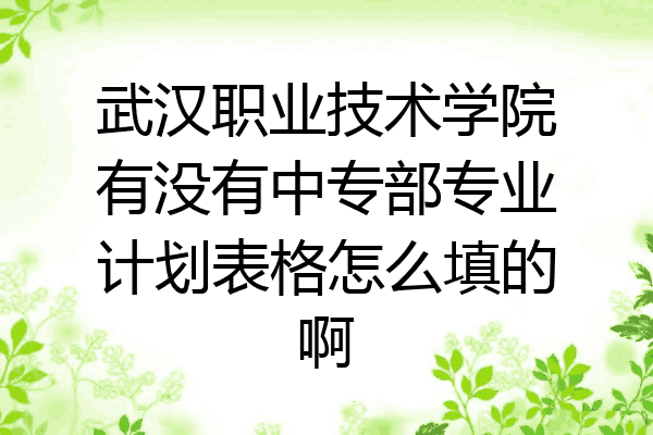 武汉职业技术学院有没有中专部专业计划表格怎么填的啊