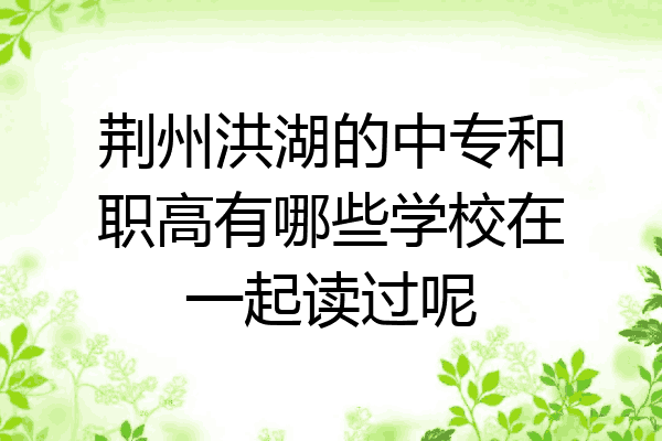 荆州洪湖的中专和职高有哪些学校在一起读过呢