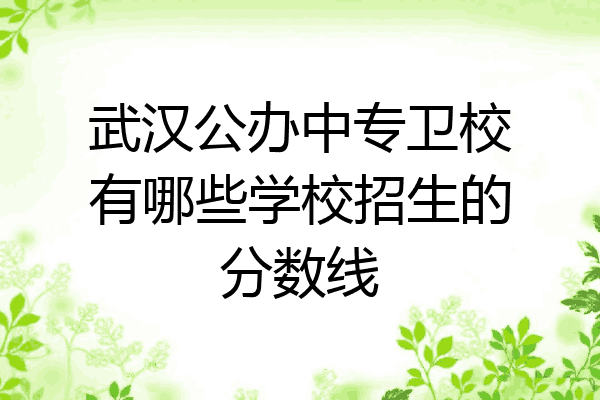 武汉公办中专卫校有哪些学校招生的分数线