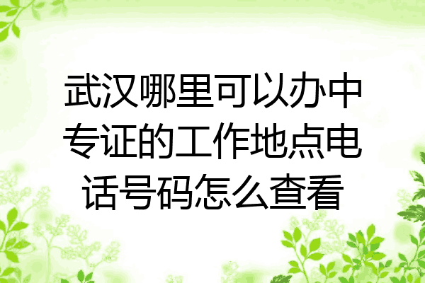 武汉哪里可以办中专证的工作地点电话号码怎么查看