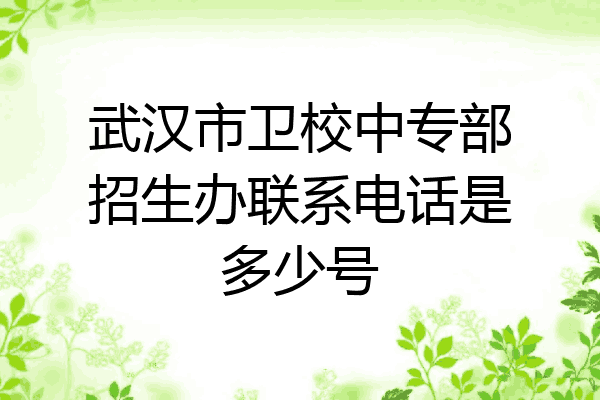 武汉市卫校中专部招生办联系电话是多少号