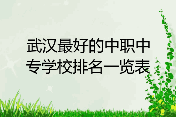 武汉最好的中职中专学校排名一览表
