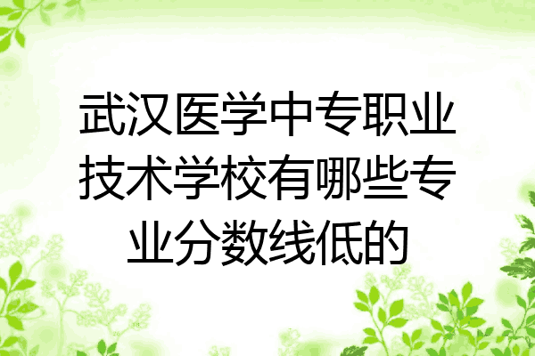 武汉医学中专职业技术学校有哪些专业分数线低的