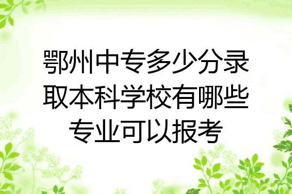 鄂州中专多少分录取本科学校有哪些专业可以报考