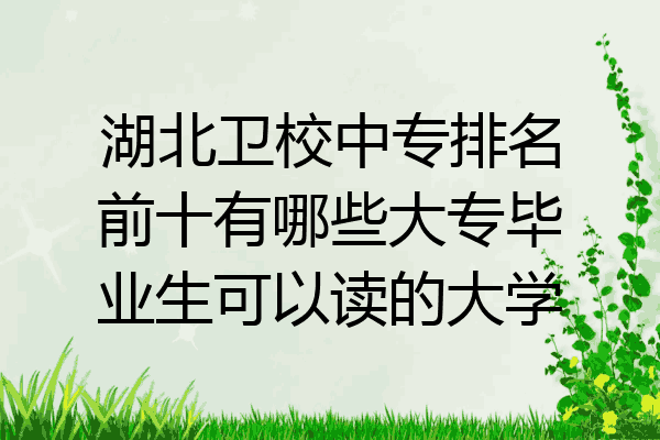 湖北卫校中专排名前十有哪些大专毕业生可以读的大学