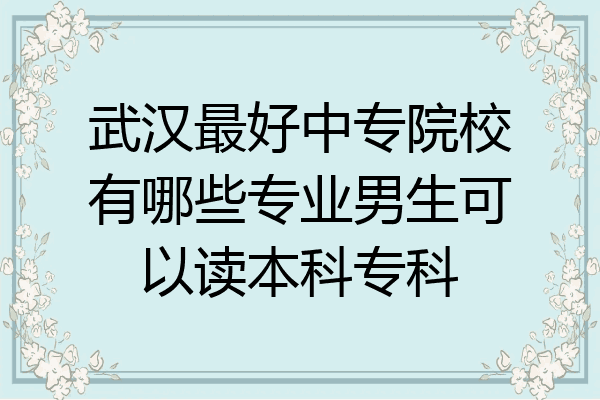 武汉最好中专院校有哪些专业男生可以读本科专科