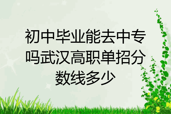 初中毕业能去中专吗武汉高职单招分数线多少