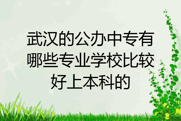 武汉的公办中专有哪些专业学校比较好上本科的