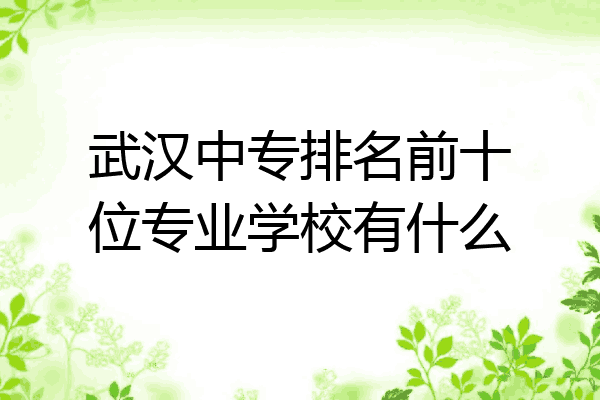 武汉中专排名前十位专业学校有什么